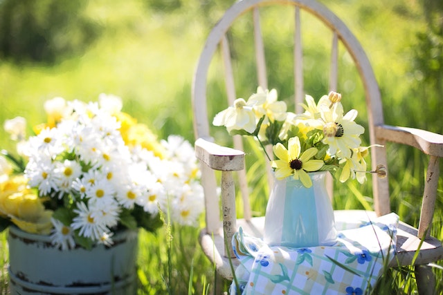 Pflanzen für schattige Gartenbereiche: Grünflächen ohne Sonne gestalten